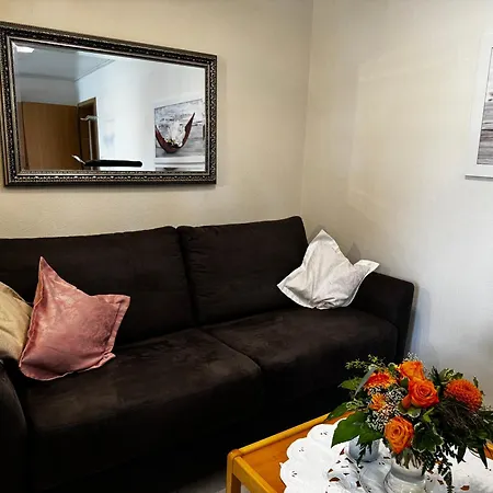 Loewenstrom Apartament *