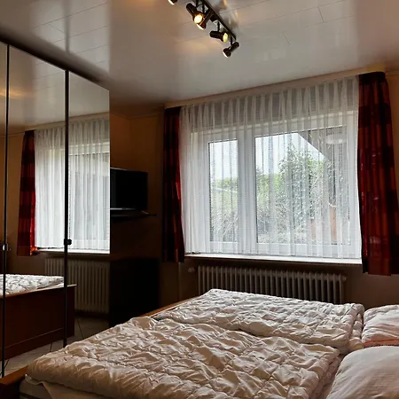 Loewenstrom Apartament