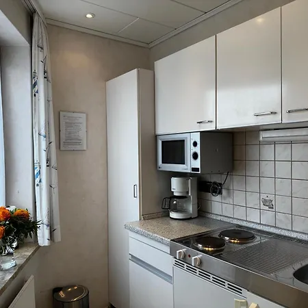 Apartament Loewenstrom *