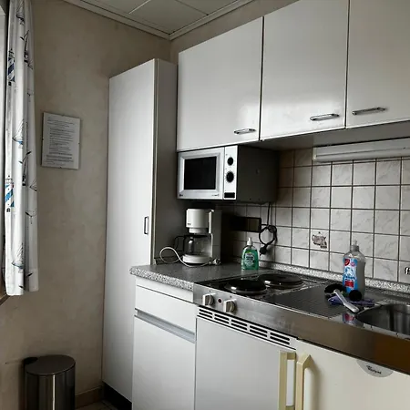 Apartament Loewenstrom *